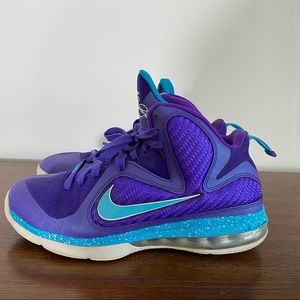 Lebron 9 “Summit Lake Hornets”